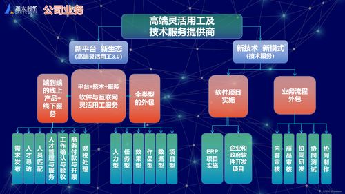 軟件及互聯(lián)網(wǎng)高端靈活用工與技術(shù)服務提供商